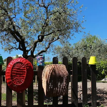 Dal Generale Gasthuis Moniga del Garda